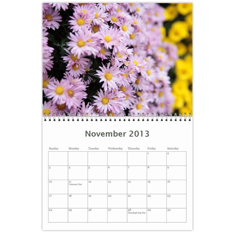 Chrysanthemum By Photo Nov 2013