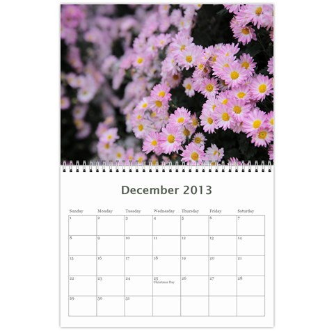 Chrysanthemum By Photo Dec 2013