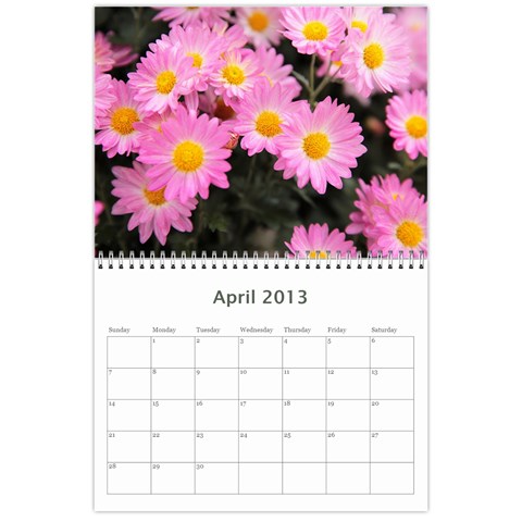 Chrysanthemum By Photo Apr 2013