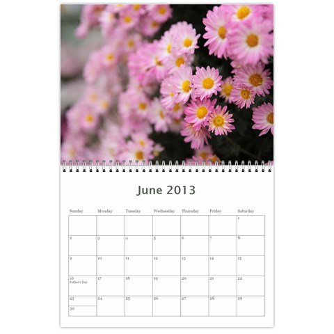 Chrysanthemum By Photo Jun 2013