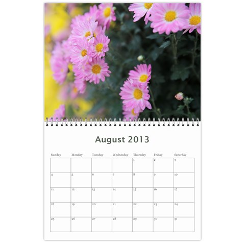 Chrysanthemum By Photo Aug 2013