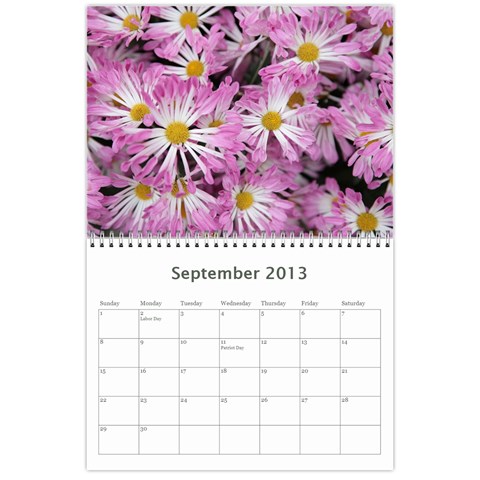 Chrysanthemum By Photo Sep 2013