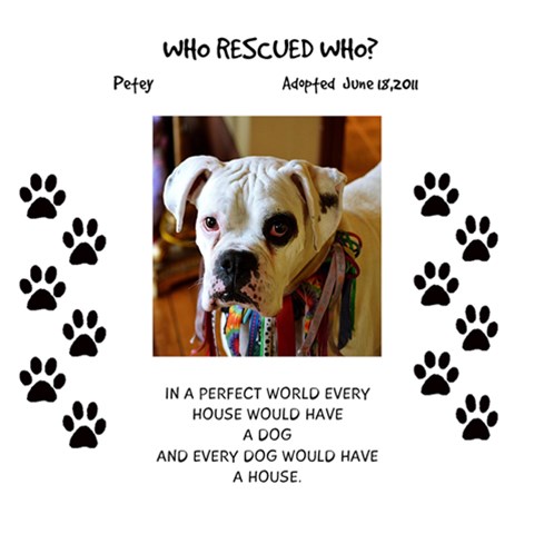 Who Rescued Who By Ann 12 x12  Scrapbook Page - 1