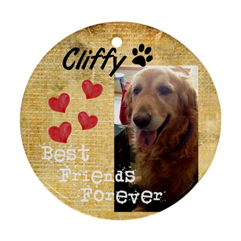 Cliffy By Sherry Olford Front