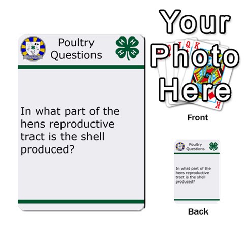 Poultry Question Cards By Lmw Front 3