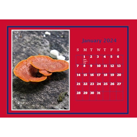A Little Perfect Desktop Calendar (8 5x6) By Deborah Jan 2024