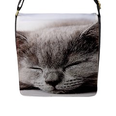 cat - Flap Closure Messenger Bag (L)
