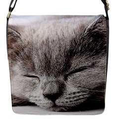cat - Flap Closure Messenger Bag (S)