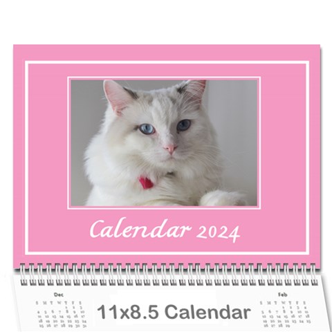 Pink Princess Wall Calendar 11x8 5 By Deborah Cover