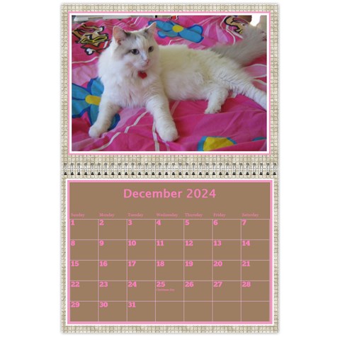 Pink Choc Wall Calendar 11x8 5 By Deborah Dec 2024