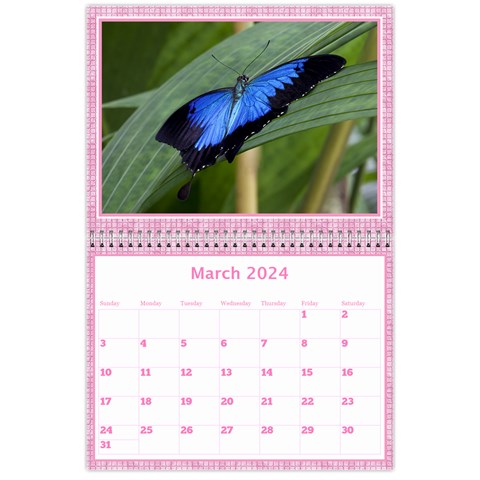 Pink Choc Wall Calendar 11x8 5 By Deborah Mar 2024