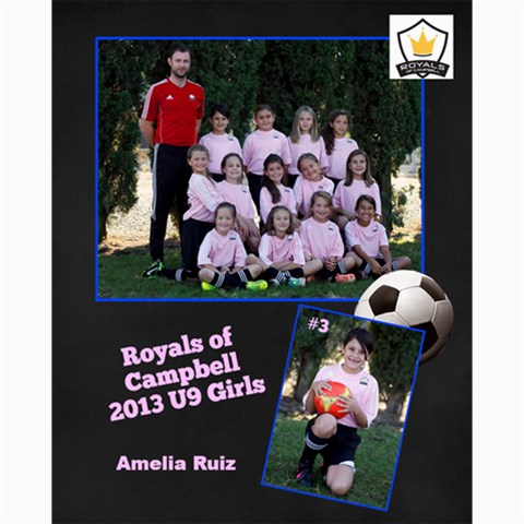 Royals U9 Girls 2013 By Arti Steinkamp 10 x8  Print - 2