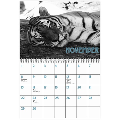 Birthday Calendar2 By Sierra Nitz Nov 2013
