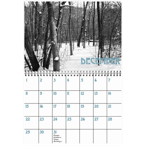 Birthday Calendar2 By Sierra Nitz Dec 2013
