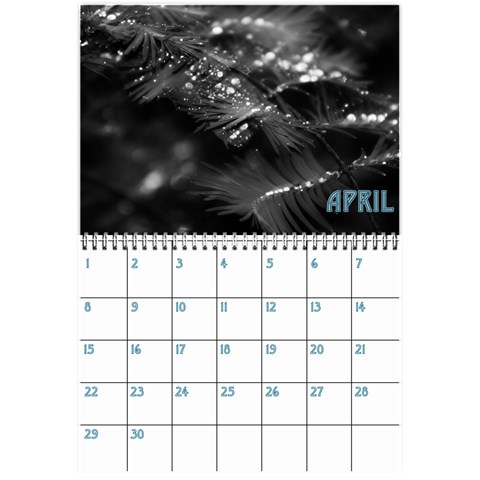 Birthday Calendar2 By Sierra Nitz Apr 2013