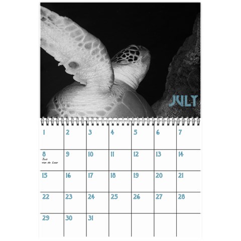 Birthday Calendar2 By Sierra Nitz Jul 2013