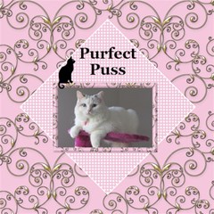 My Puss 12x12 Scrapbook Page - ScrapBook Page 12  x 12 