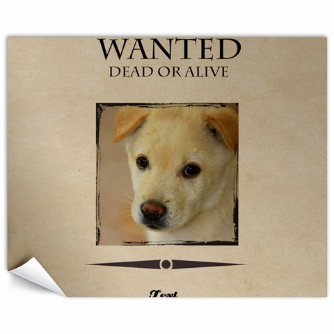 Wanted By Divad Brown 10.95 x13.48  Canvas - 1