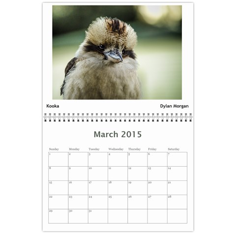 2015 Bvcc Calendar By Rosie Mar 2015