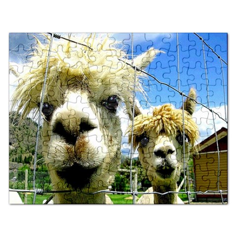 Enhanced Lamas : Puzzell By Pamela Sue Goforth Front