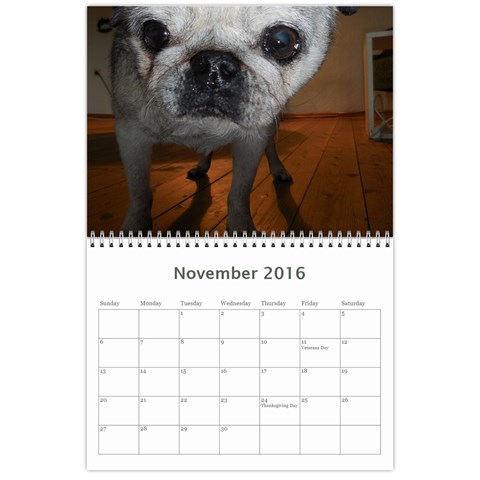 Pug Calendar Omi Clara 2016 By Lil Creatures Nov 2016