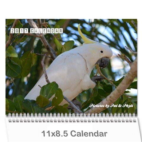 2017 Calendar By P Wells Cover