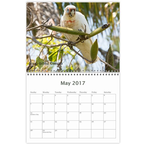 2017 Calendar By P Wells May 2017