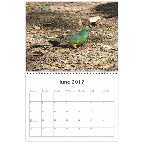 2017 Calendar By P Wells Jun 2017