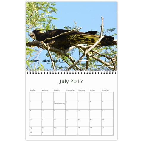 2017 Calendar By P Wells Jul 2017