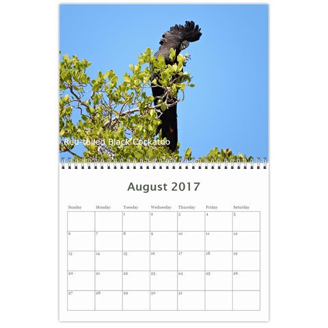 2017 Calendar By P Wells Aug 2017