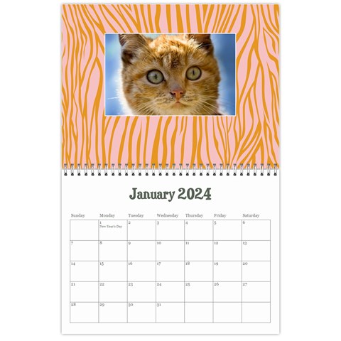 Zebra Glitter/teen/tween Calendar, 12 Months By Mikki Jan 2024