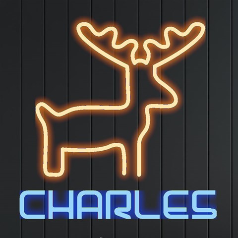 Personalized Christmas Deer Name By Joe Front