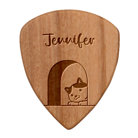 Personalized Cats Guitar Picks Set By Katy Pick