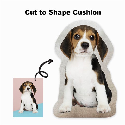 Cut To Shape Cushion 02 By Alex Front