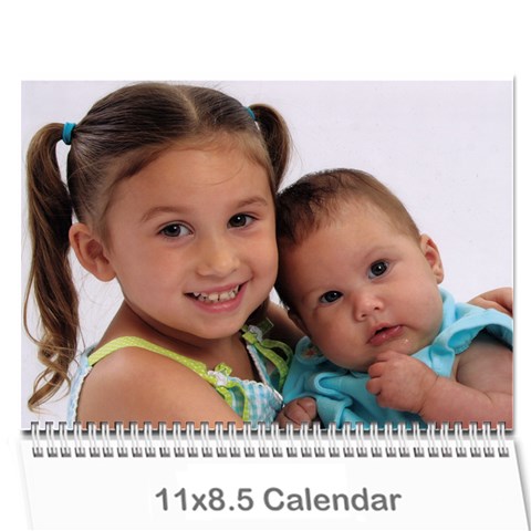 Aunt Josie s Calendar By Cheryl Cover
