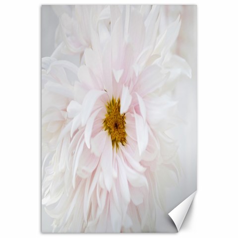 Canvas  chrysanthemum  By Elytza 11.88 x17.36  Canvas - 1