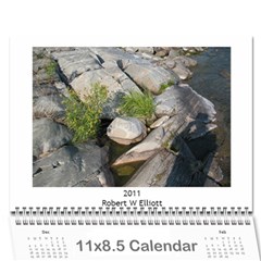 2011 12 months - Wall Calendar 11  x 8.5  (12-Months)