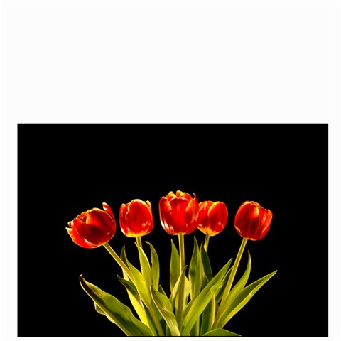 Red Tulips By Alana Front