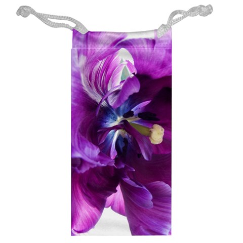 Purple Tulip By Alana Back