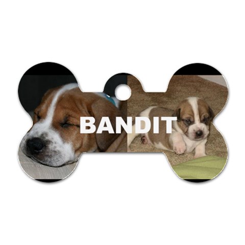 Bandit By Lauren Back