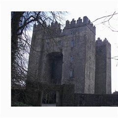 bunratty castle 8x10 - Collage 8  x 10 