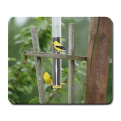 Finch Mousepad - Large Mousepad