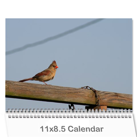 2009 Nature Calendar By Michele Sanders Cover