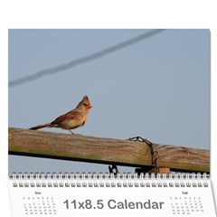 2009 Nature Calendar - Wall Calendar 11  x 8.5  (12-Months)