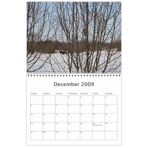 2009 Nature Calendar By Michele Sanders Dec 2009