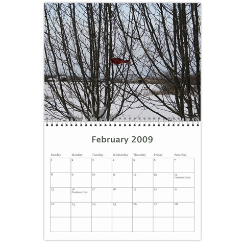 2009 Nature Calendar By Michele Sanders Feb 2009