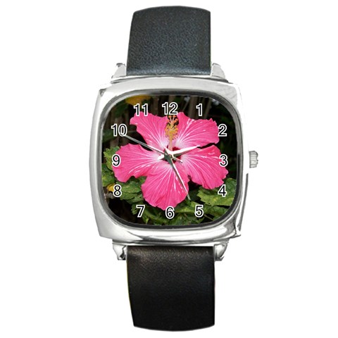 Hawaii Watch By Terri Front