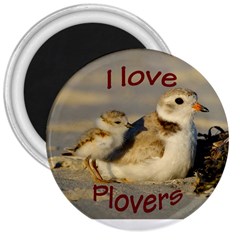 Love Plovers - 3  Magnet