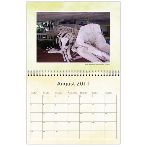 Personal Calendar By Asha Vigilante Aug 2011