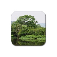 Hondu tree - Rubber Coaster (Square)